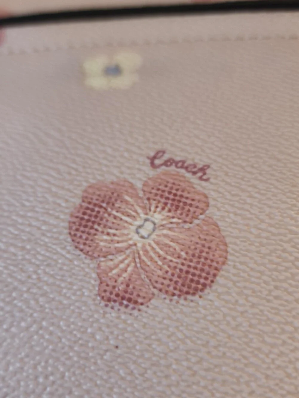 Coach Chaise Leather Crossbody Featuring a Pansy Print.